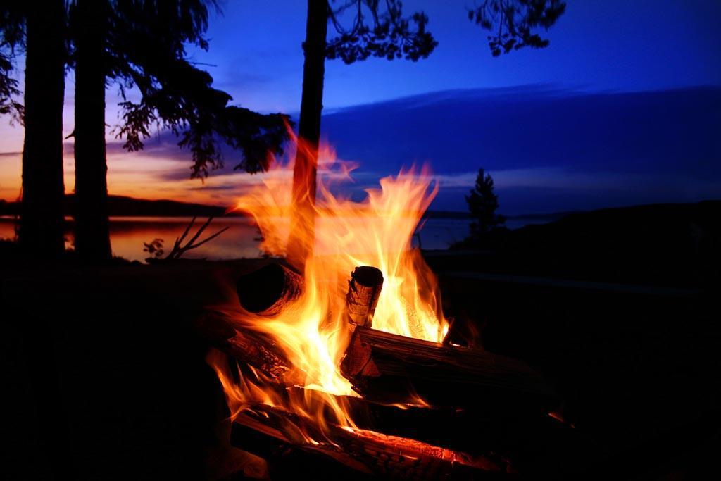 Rainbow Pines Tourist Caravan Park Адаминаби Экстерьер фото